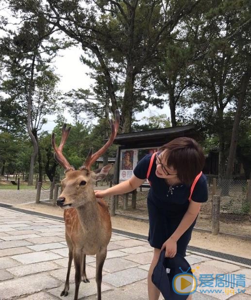 袁立生活照 袁立高清写真_袁立高清剧照