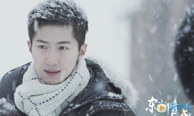 东山晴后雪剧情介绍(1-38集大结局)