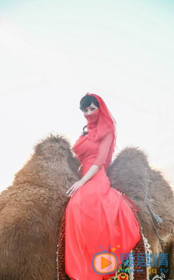 赵雅芝优雅写真 赵雅芝高清写真_赵雅芝高清剧照