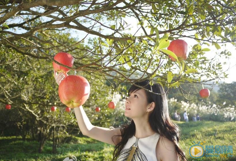 周慧敏靓丽街拍照 周慧敏高清写真_周慧敏高清剧照