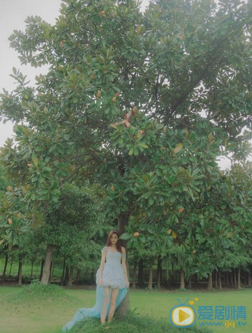 张昕 清新写真 张昕 高清写真_张昕 高清剧照