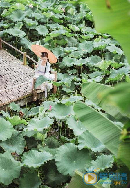 张昕 古装写真 张昕 高清写真_张昕 高清剧照