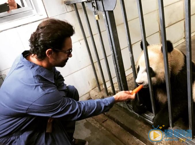 阿米尔汗中国活动写真 阿米尔汗高清写真_阿米尔汗高清剧照