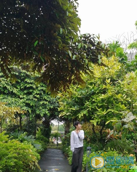 傅淼街拍写真 傅淼高清写真_傅淼高清剧照