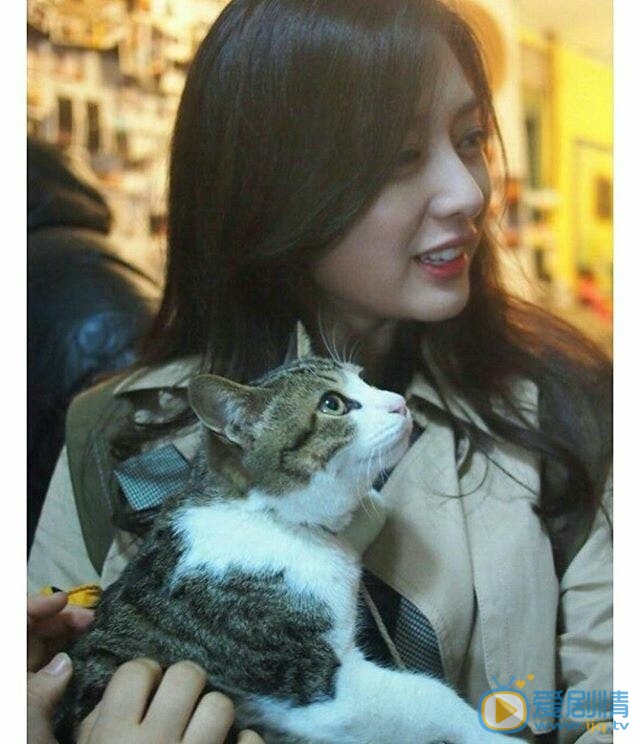 金智媛可爱写真 金智媛高清写真_金智媛高清剧照