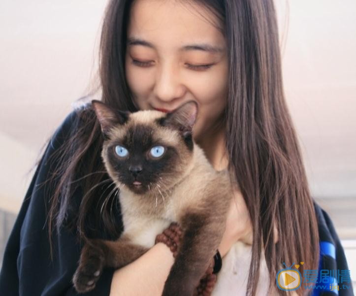 万鹏写真 万鹏高清写真_万鹏高清剧照