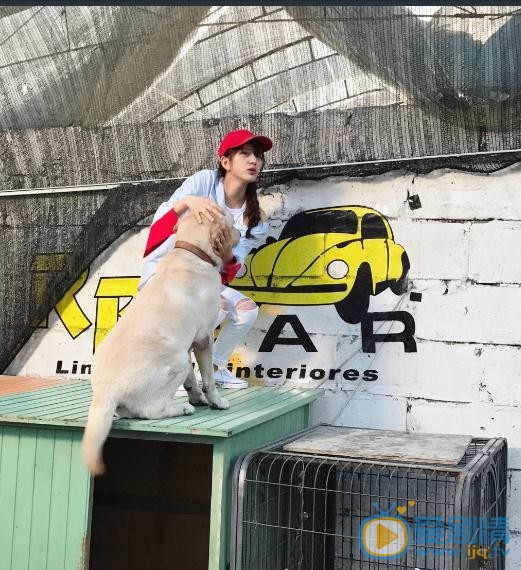唐本街拍写真 唐本高清写真_唐本高清剧照
