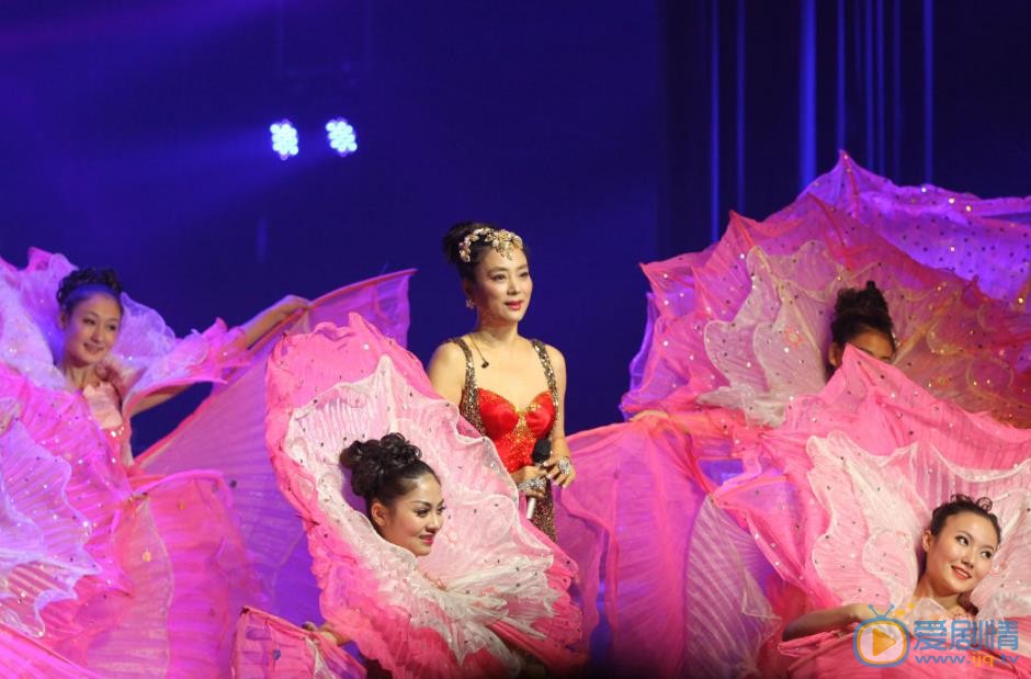 李玲玉演唱会 李玲玉高清写真_李玲玉高清剧照