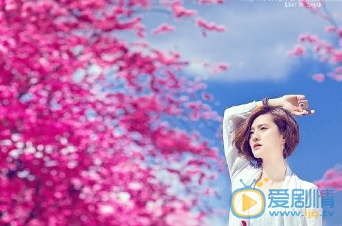 隋俊波写真 隋俊波高清写真_隋俊波高清剧照