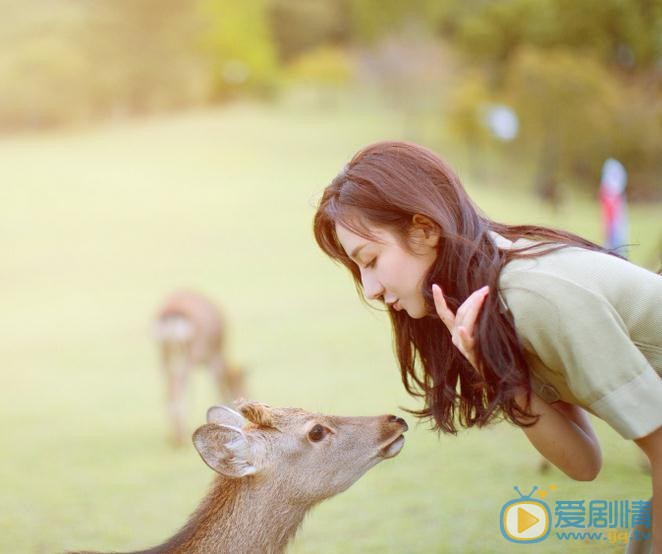 景瓷动物写真 景瓷高清写真_景瓷高清剧照