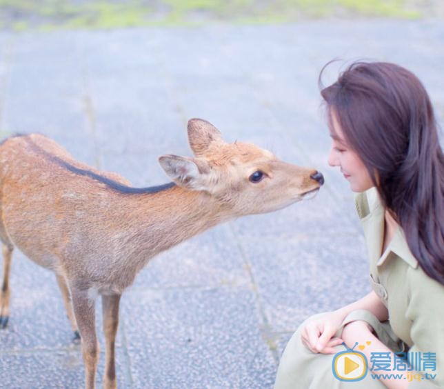 景瓷动物写真 景瓷高清写真_景瓷高清剧照