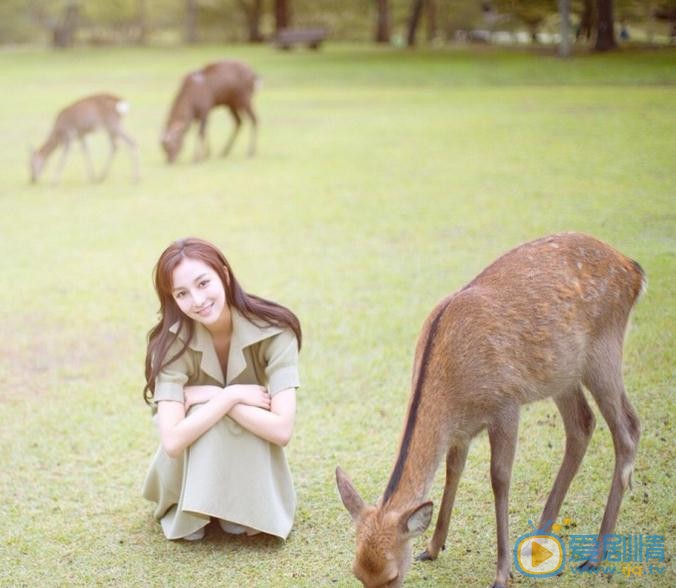 景瓷动物写真 景瓷高清写真_景瓷高清剧照