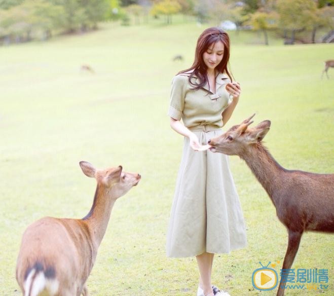 景瓷动物写真 景瓷高清写真_景瓷高清剧照