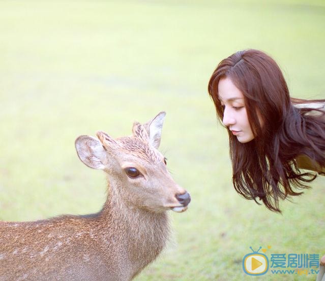 景瓷动物写真 景瓷高清写真_景瓷高清剧照