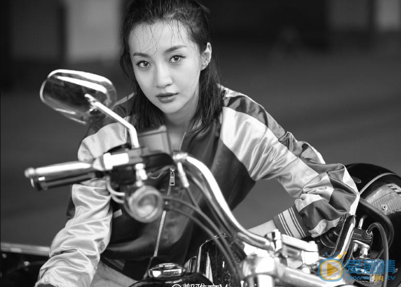 郑雅文文艺写真 郑雅文高清写真_郑雅文高清剧照