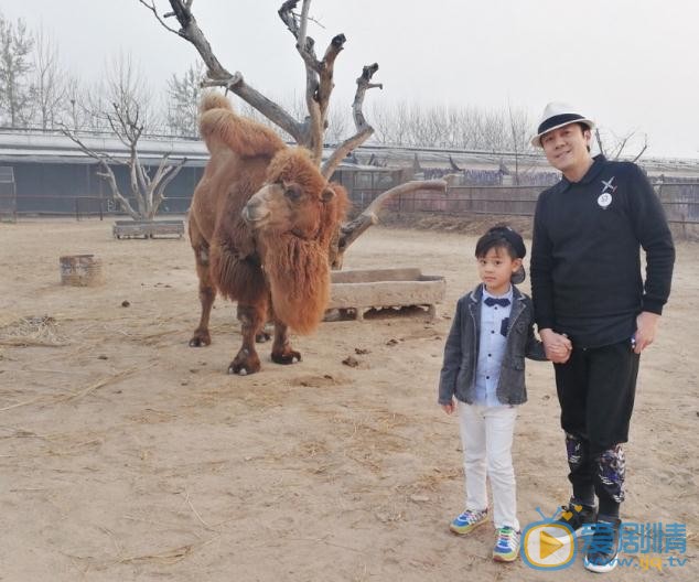 蔡国庆儿子蔡正轩写真 蔡国庆高清写真_蔡国庆高清剧照