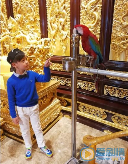 蔡国庆儿子蔡正轩写真 蔡国庆高清写真_蔡国庆高清剧照