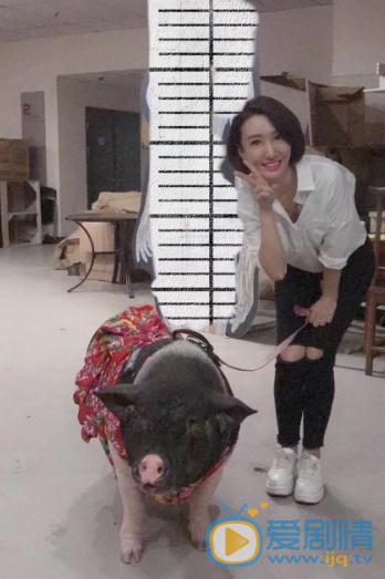 宋宁优雅写真 宋宁高清写真_宋宁高清剧照