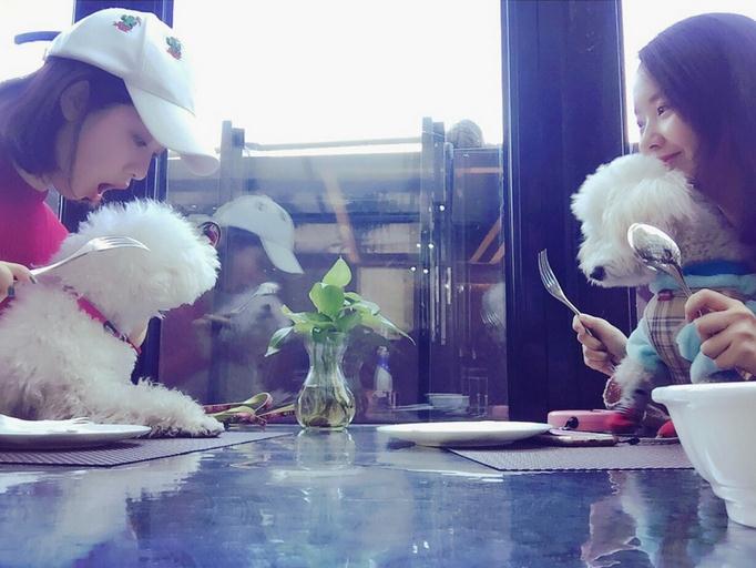 李嘉琪海边照 李嘉琪高清写真_李嘉琪高清剧照