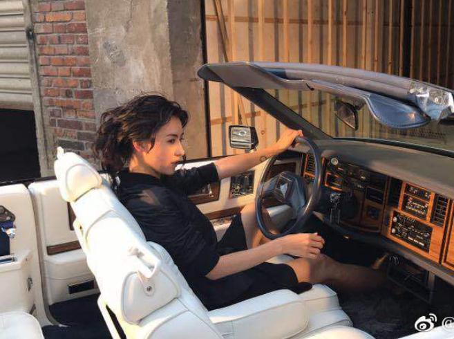 张柏芝优雅写真 张柏芝高清写真_张柏芝高清剧照