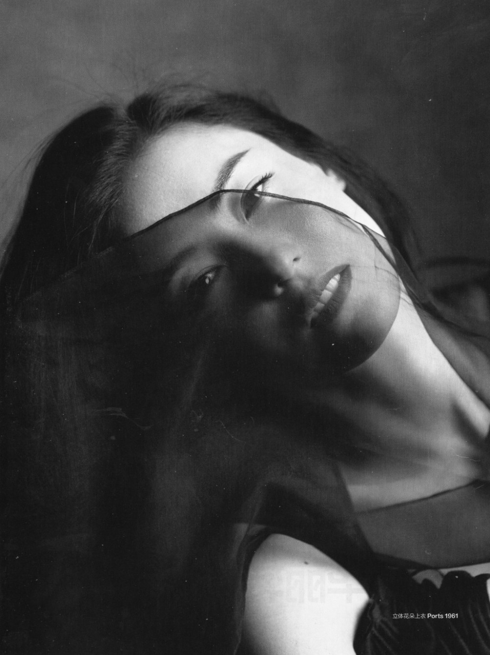 张柏芝性感照写真 张柏芝高清写真_张柏芝高清剧照