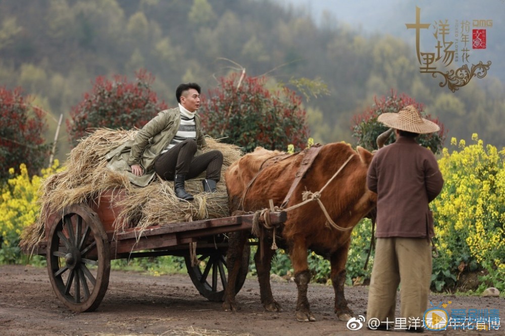 十里洋场拾年花剧照