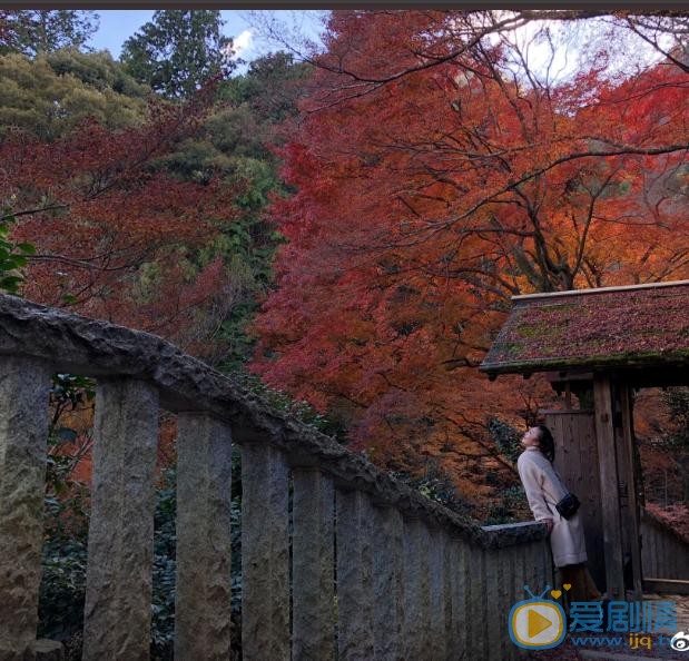 刘希媛旅行写真 刘希媛高清写真_刘希媛高清剧照