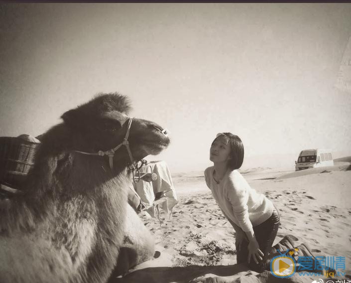 刘希媛旅行写真 刘希媛高清写真_刘希媛高清剧照