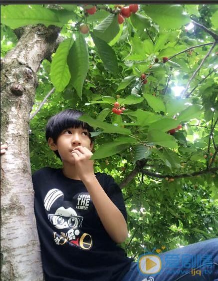 贺峻霖自拍写真 贺峻霖高清写真_贺峻霖高清剧照