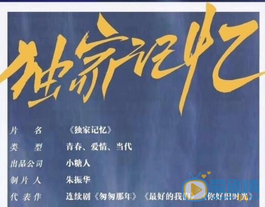 独家记忆剧情介绍