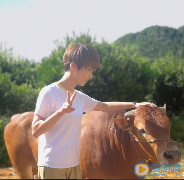 谢楠街拍写真 谢楠高清写真_谢楠高清剧照