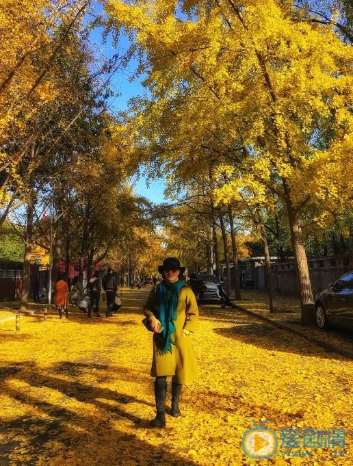 徐露旅行大片 徐露高清写真_徐露高清剧照