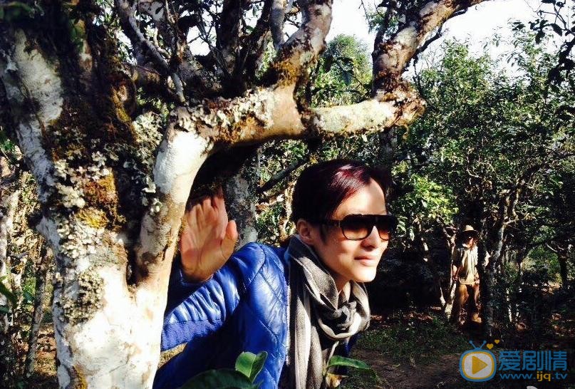 徐露旅行大片 徐露高清写真_徐露高清剧照