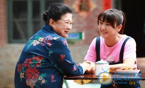 刘家媳妇剧情介绍