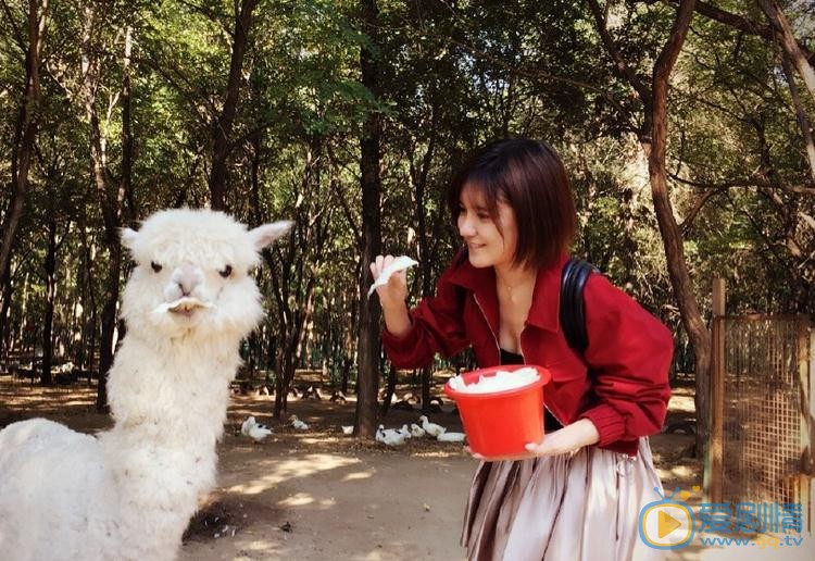 艾如生活照 艾如高清写真_艾如高清剧照