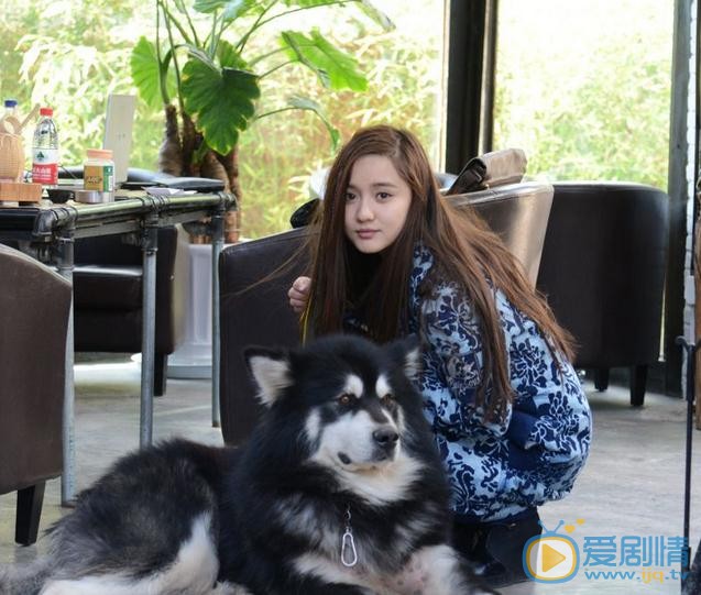 艾如剧照合集 艾如高清写真_艾如高清剧照