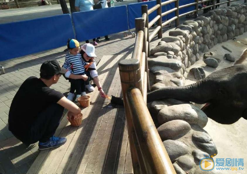 杨若兮生活照 杨若兮高清写真_杨若兮高清剧照