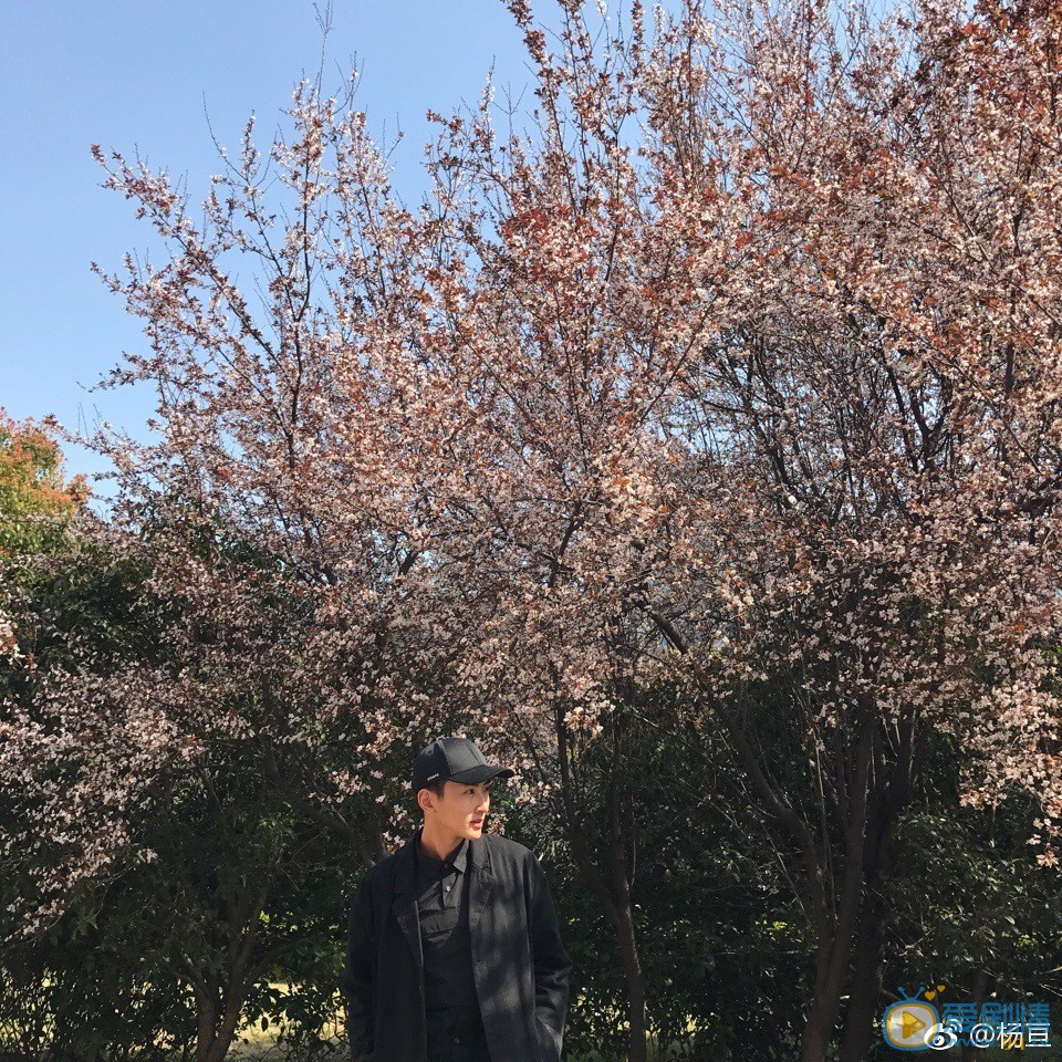 杨亘街拍照写真 杨亘高清写真_杨亘高清剧照