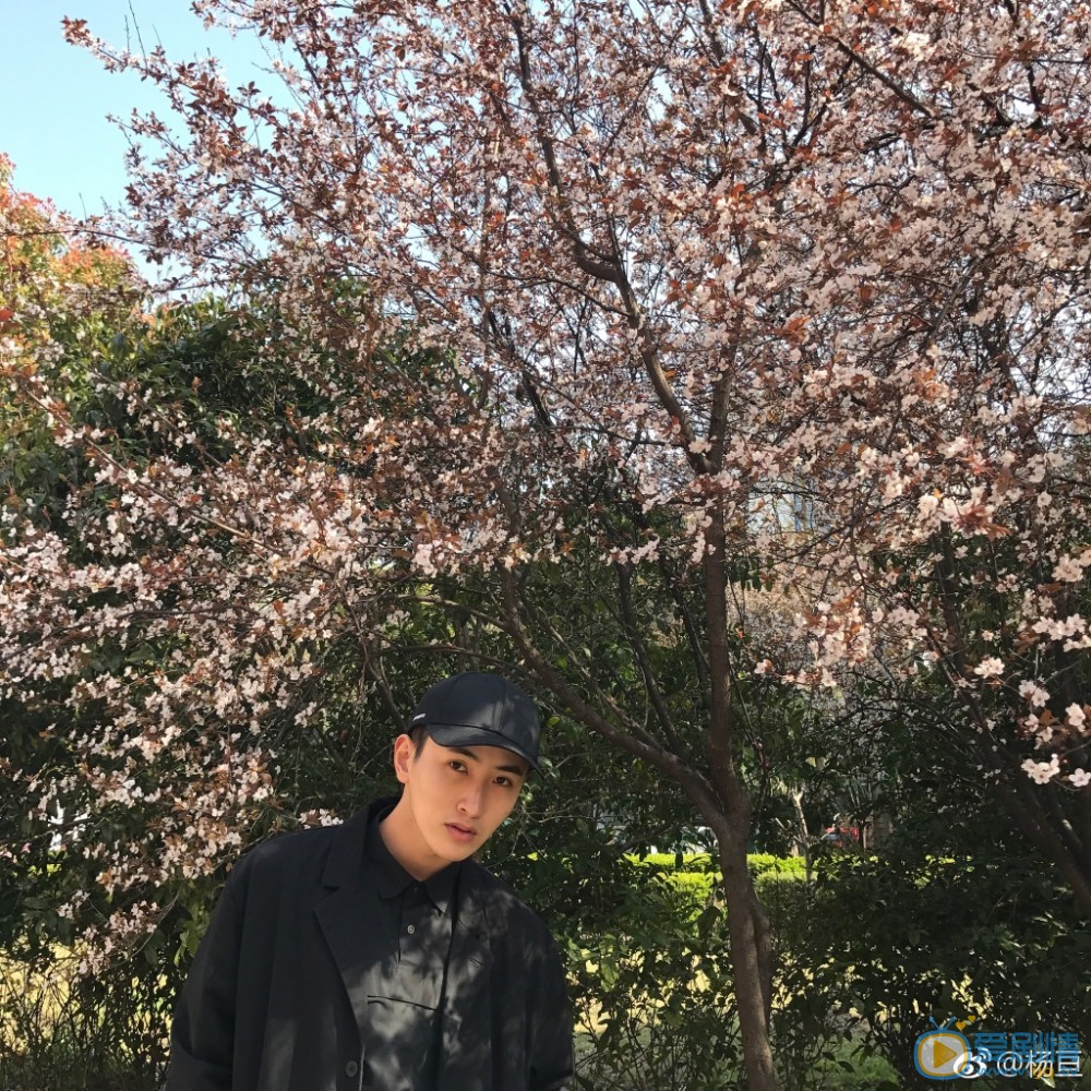 杨亘街拍照写真 杨亘高清写真_杨亘高清剧照