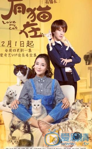 谢欣桐《有猫在》剧照写真 谢欣桐高清写真_谢欣桐高清剧照