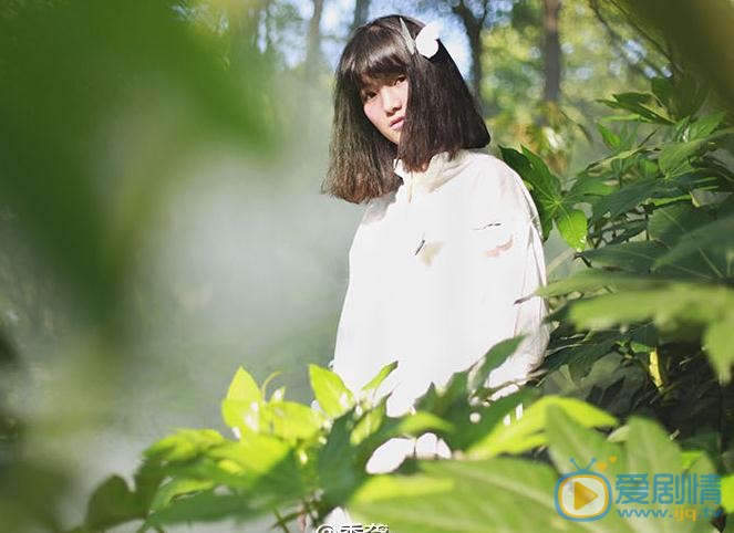 倪言森林写真 倪言高清写真_倪言高清剧照