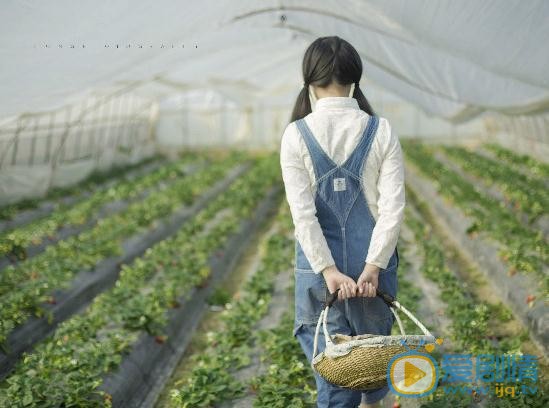 倪言草莓写真 倪言高清写真_倪言高清剧照