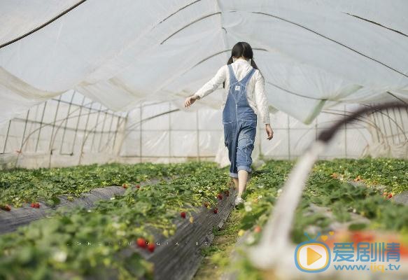 倪言草莓写真 倪言高清写真_倪言高清剧照