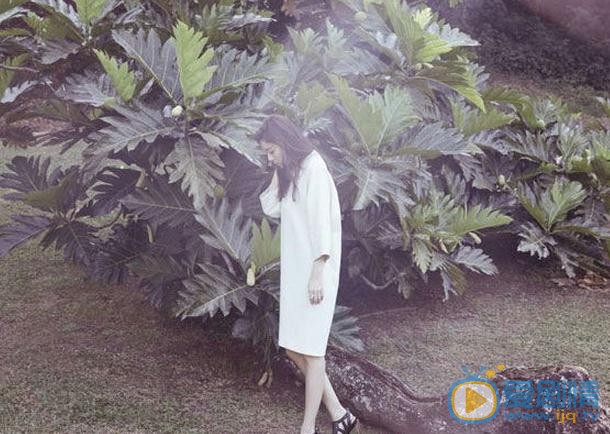 金荷娜婚纱写真 金荷娜高清写真_金荷娜高清剧照