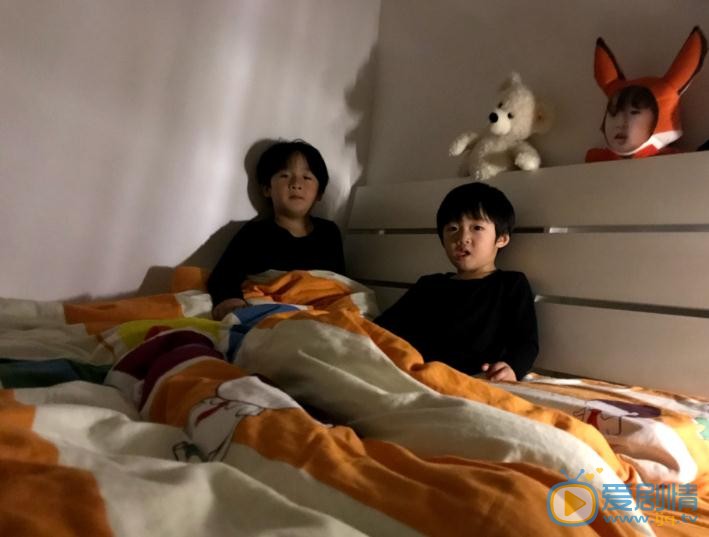 邹市明生活照写真 邹市明高清写真_邹市明高清剧照