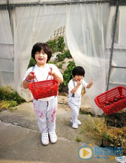 邹市明儿子邹明轩照 邹市明高清写真_邹市明高清剧照