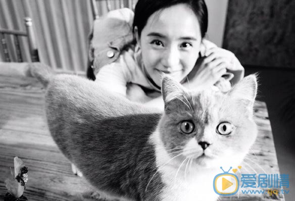 王智黑白写真 王智高清写真_王智高清剧照