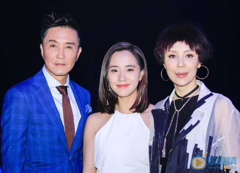 王智活动照 王智高清写真_王智高清剧照