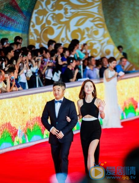 王智活动照 王智高清写真_王智高清剧照
