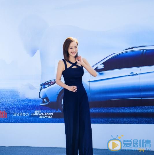 王智活动照 王智高清写真_王智高清剧照